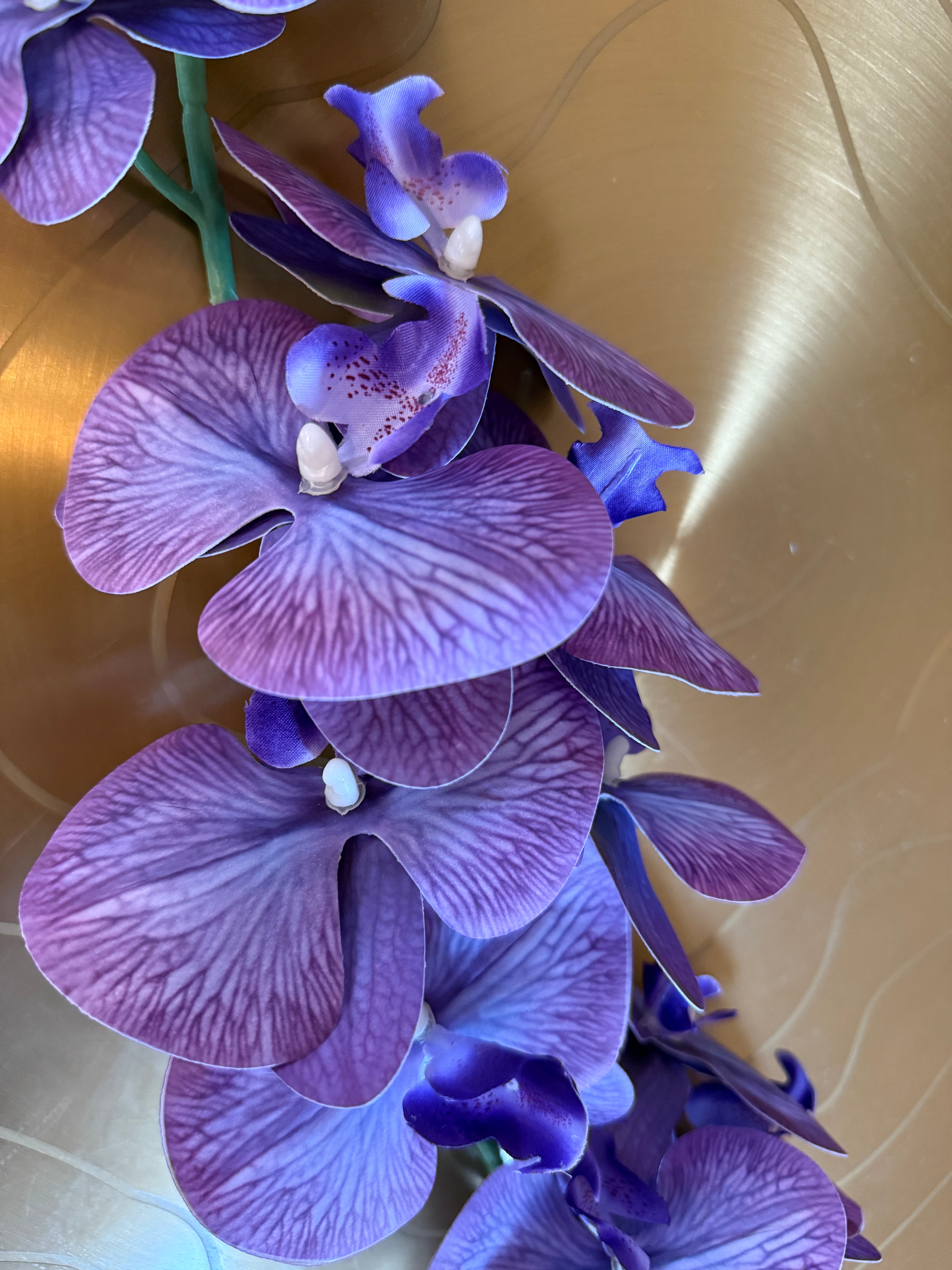 Fioletowa storczyk - 100 cm